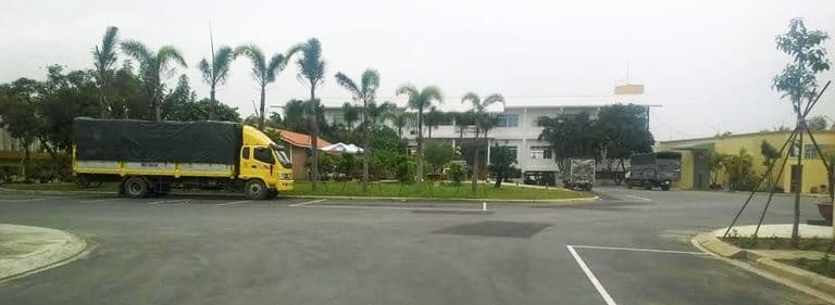 Cây xanh dọc đường nội bộ